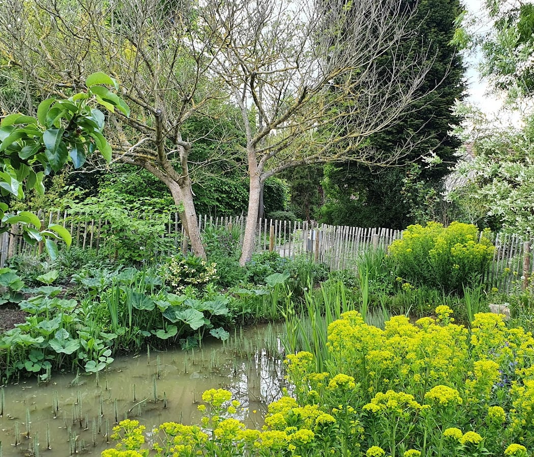 Botanical Garden 2